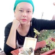 Reforzamiento en idioma Inglés para EB y EM